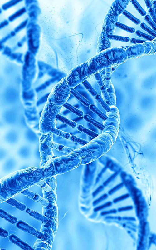 PDRN(Polydeoxyribonucleotide)